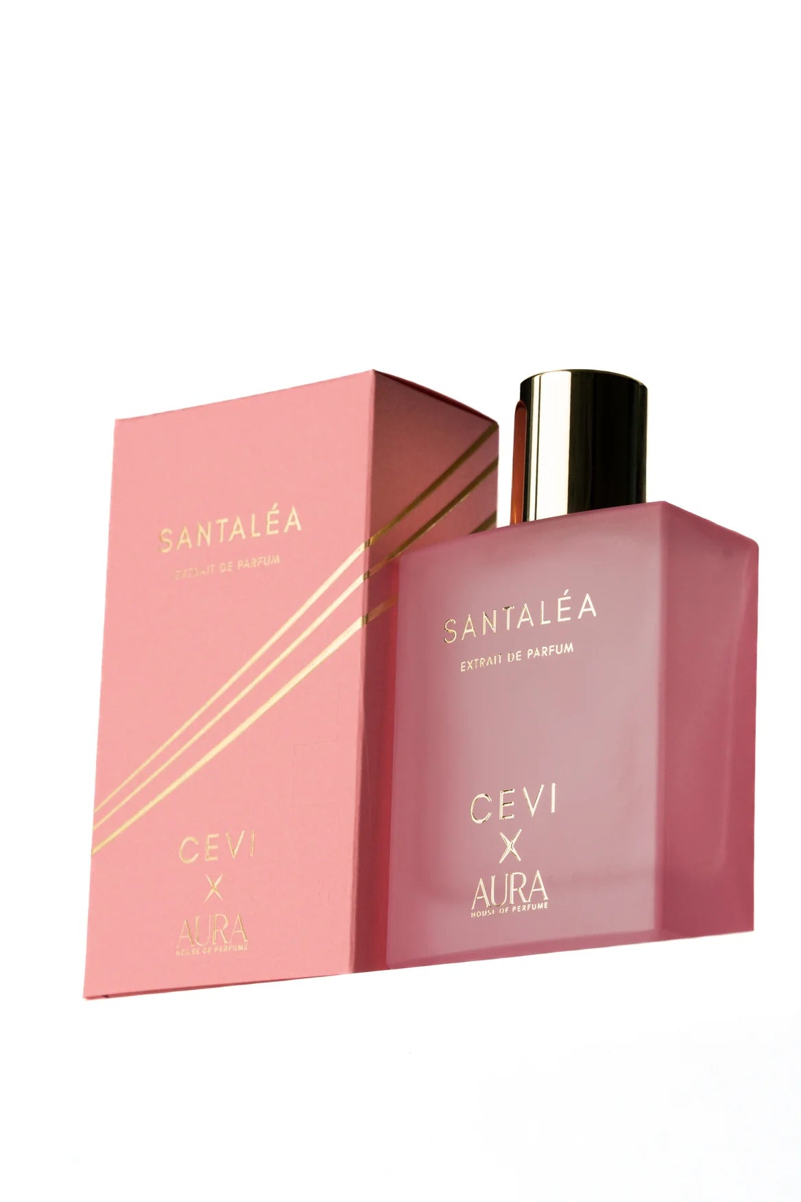 Cevi X Santaléa