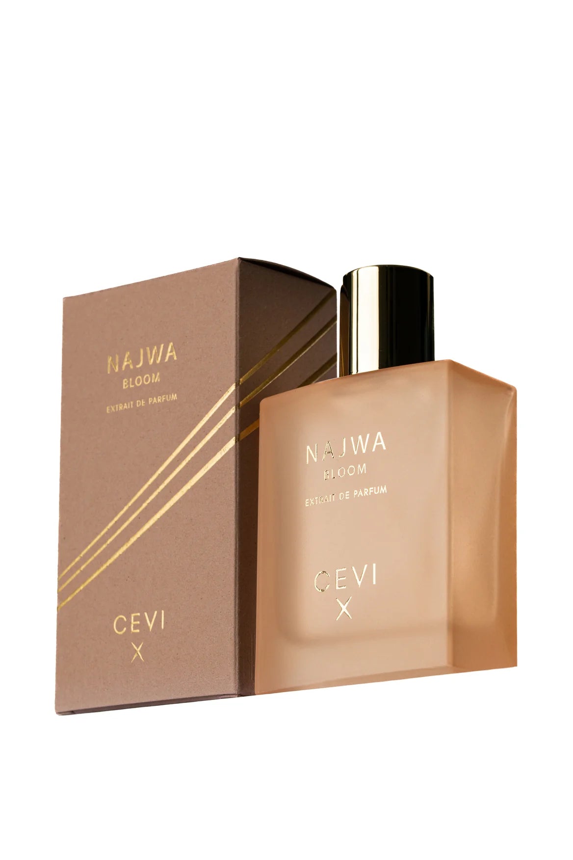 Cevi X Najwa Bloom